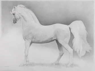 Mozgókép, 2. sorozat, 2013 (grafit, papír)